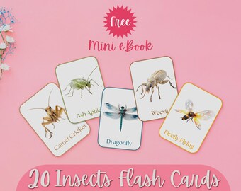 20 Printable Insects Flashcards + FREE Mini eBook, Educational Bug Cards for Kids, Montessori, Preschool, Toddler Learning, Instant Download