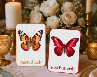 20 Printable Butterflies Flash Cards + FREE Mini eBook, Montessori Flashcards, Homeschool, Educational, Butterfly, Animal, INSTANT DOWNLOAD