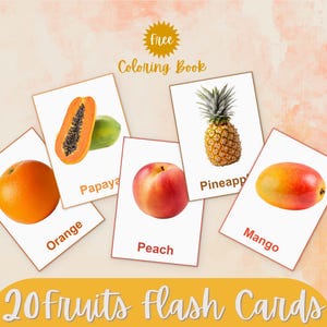 20 afdrukbare fruitflashcards + GRATIS kleurboek | Montessori-educatieve kaarten voor kinderen – Fruit voor kleuters – Direct downloaden