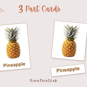 K&ouml;nnte beinhalten: Lehrreiche 3-teilige Karten mit einer Ananas. Die Karten haben einen wei&szlig;en Hintergrund mit einem realistischen Bild einer Ananas, dem Wort "Ananas" und dem Text "3 Part Cards". Die Karten sind zum Lernen gedacht.