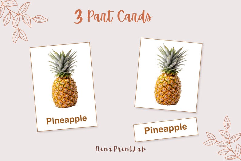 K&ouml;nnte beinhalten: Lehrreiche 3-teilige Karten mit einer Ananas. Die Karten haben einen wei&szlig;en Hintergrund mit einem realistischen Bild einer Ananas, dem Wort "Ananas" und dem Text "3 Part Cards". Die Karten sind zum Lernen gedacht.