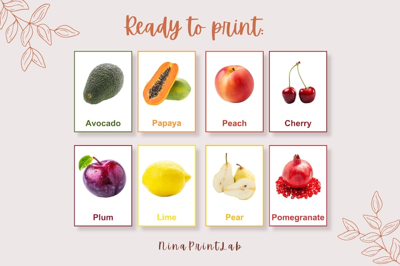 K&ouml;nnte beinhalten: Obst-Lernkarten mit Avocado, Papaya, Pfirsich, Kirsche, Pflaume, Limette, Birne und Granatapfel. Jede Frucht wird auf wei&szlig;em Hintergrund mit ihrem Namen darunter gezeigt. Der Text "Ready to print" steht oben.