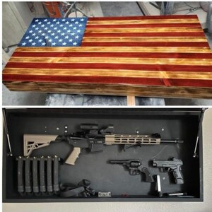 Weapons concealment case