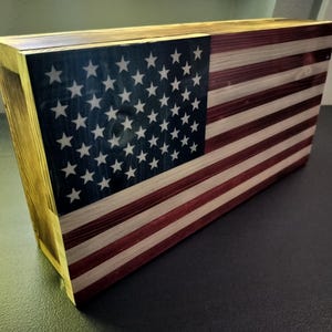 Weapons concealment case
