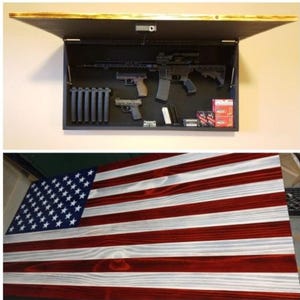 Weapons concealment case