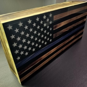 Weapons concealment case