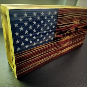 Weapons concealment case