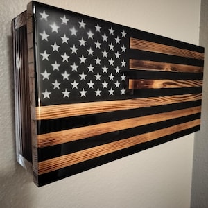 Weapons concealment case