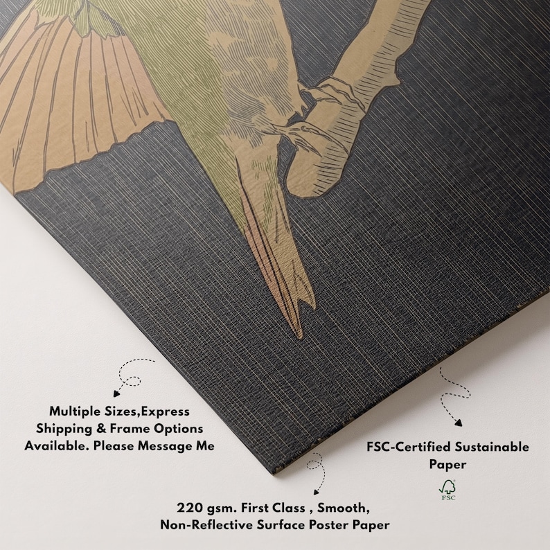 May include: A poster print featuring a detailed illustration of a bird perched on a branch, rendered in shades of green, tan, and brown against a dark gray background. The poster is made of 220 gsm, smooth, non-reflective paper.