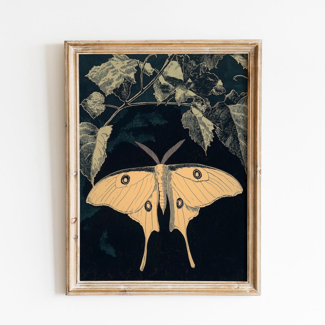 Vintage Luna Moth Art | Golden Luna Moth | Rustic Insect Illustration ...