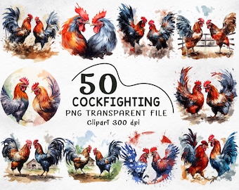 Cockfighting Clipart PNG Bundle: Watercolor Fighting Rooster, Gamecock PNG, Farm Animal Decal, Transparent