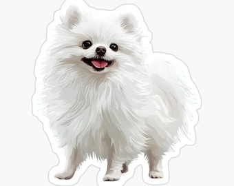 Adesivo per cane Pomerania bianco (lucido)