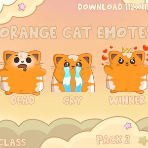 Orange Cat Twitch Emotes Pack 2
