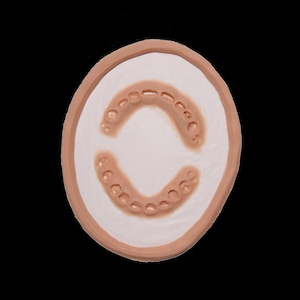 Silikonprotes med zombiebett | Latexfri SFX-protes Halloween / Cosplay