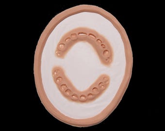 Zombie Bite Silicone Prosthetic | Latex Free SFX Prosthetic Halloween / Cosplay