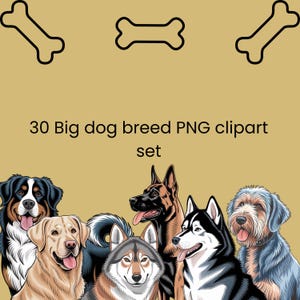 Clipart von Hunderassen, 30 druckbare PNGs in hoher Qualität