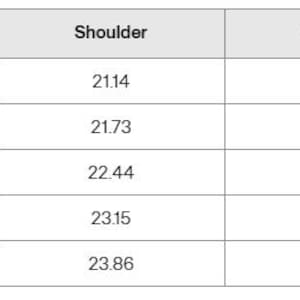 May include: A white table with black text detailing garment measurements. The table includes sizes S, M, L, XL, and 2XL. Measurements are provided for length, shoulder, chest, and sleeve length in inches.