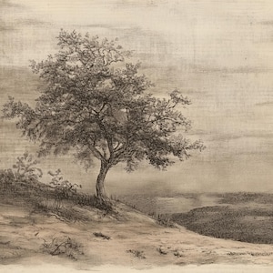 May include: A detailed sepia-toned illustration of a tree on a hillside. The tree, with its full canopy, stands prominently against a cloudy sky. The landscape includes a distant view of a body of water and rolling hills.
