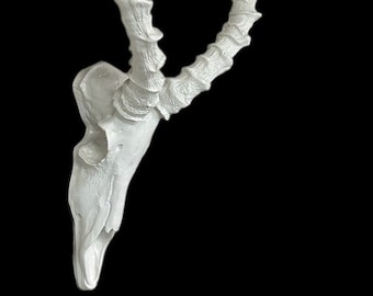 ¡Cráneo y cuernos de impala impala africanos hechos a mano! áfrica-impala-cráneo-réplica-falsa-cráneos-de-taxidermia-montaje-europeo-cuernos-africanos