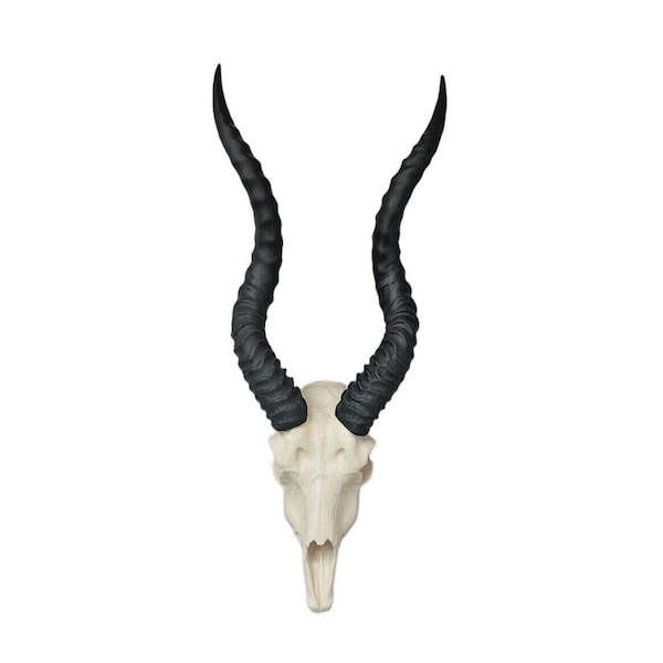 Blackbuck Indian antelope skulls Man Cave Taxidermy springbuck faux replica Taxidermy skulls horns  Interior Design Replica