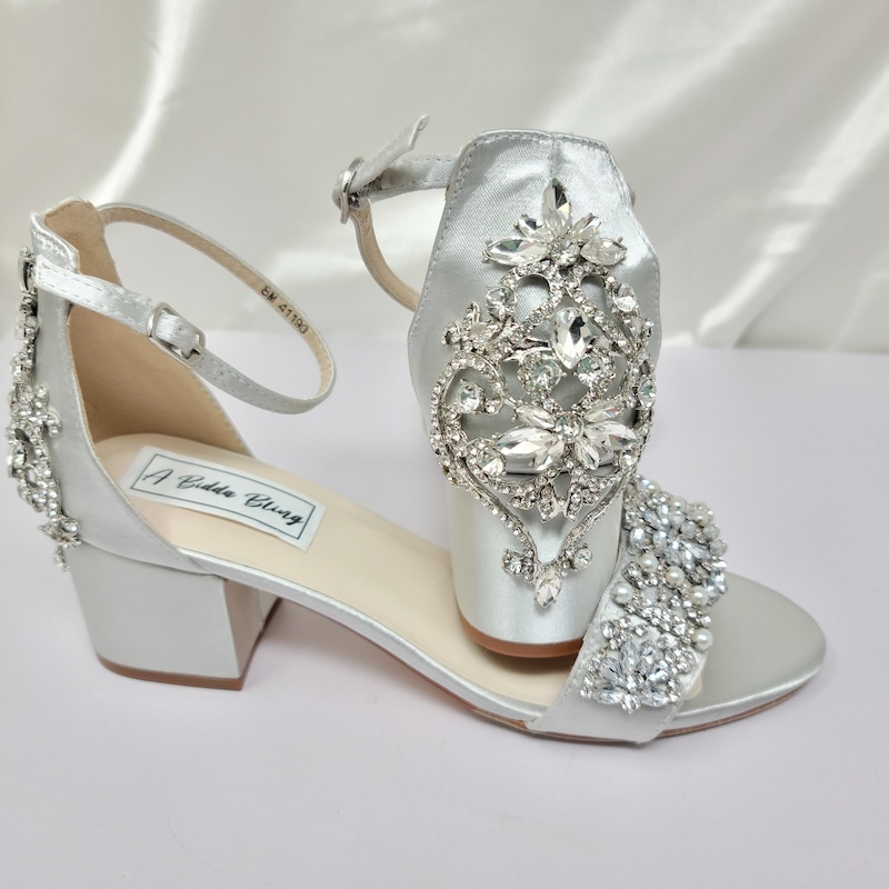Chunky Heel Silver With Pointed Toe High Heels
