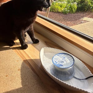 以下が含まれることがあります： 黒い猫が窓の近くに座り、白いセラミック製のペット用給水器を見ています。 給水器は魚の形をしたベースと青と白の模様のボウルが付いています。 給水器は木製の表面にあります。