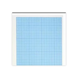 May include: A sheet of light blue graph paper with a grid pattern, set against a white background. The grid lines are a darker shade of blue, creating a clear and organized layout. The paper is rectangular and has a clean, professional appearance.