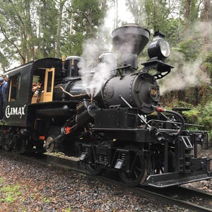May include: A black steam train, emitting white steam, travels on tracks through a wooded area. The train has the word "Climax" on the side and the number "1694" on the front. The train is on a gravel bed.