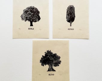 Mini Tree Art Block Print: Oak, Cypress, Olive - Botanical Wall Art