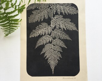 Linocut print of a fern leaf, Botanical artwork, hand pulled block print