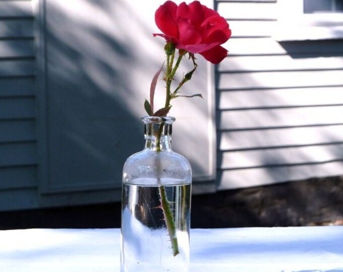 1920s FLY TOX Glass Bottle Etsy