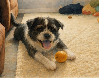 May include: Watercolor painting of a small dog with black, white, and gray fur, lying on a beige rug. The dog has its tongue out and is looking at the viewer. An orange ball is in front of the dog.