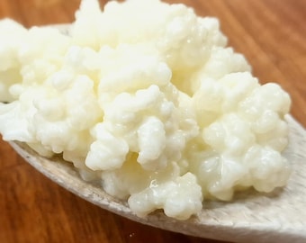 Live Organic Milk Kefir Grains 10g by Mymoon