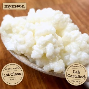 May include: A heap of white, cauliflower-like milk kefir grains resting on a wooden spoon. The image includes the text mymoon, Royal Mail 1st Class Post, and Microbiology Lab Certified Tested in circular and rectangular labels.