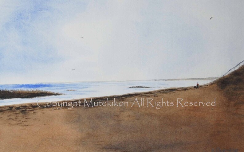 Cape Cod Beach Scenes Framed Prints