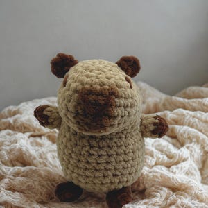 Capybara Crochet Plush – Handmade Amigurumi Stuffed Animal, Cozy Gift for Animal Lovers
