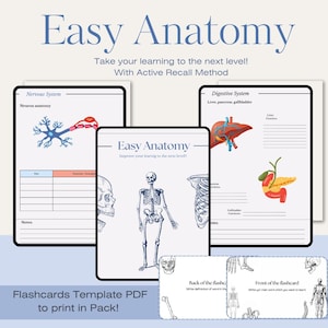 May include: Anatomy study materials featuring the text "Easy Anatomy". The image includes flashcards and diagrams of the nervous and digestive systems, and a skeleton. The text "Flashcards Template PDF to print in Pack!" is also visible.
