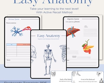 Easy Anatomy – Aesthetic Anatomy Study Template | Colorful Printable PDF for Medical & Biology Students