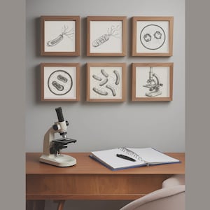Peut inclure: Six cadres en bois marron encadrent des illustrations scientifiques de micro-organismes et un microscope. Les dessins sont en noir et blanc. Un cahier et un stylo sont également posés sur un bureau en bois.