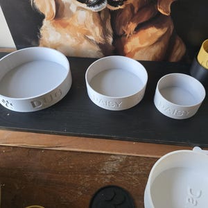 Custom Dog Bowl – Food Safe, 3D Printed, Personalized with Name & Paws