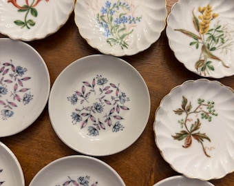 May include: A collection of eight small white porcelain saucers featuring various botanical illustrations, including orange trumpet flowers, blue forget-me-nots, yellow wheat, and pink and blue floral patterns, with some edges scalloped and gold-trimmed.