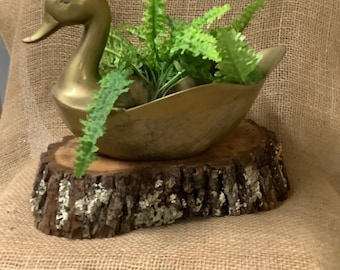 Brass duck planter