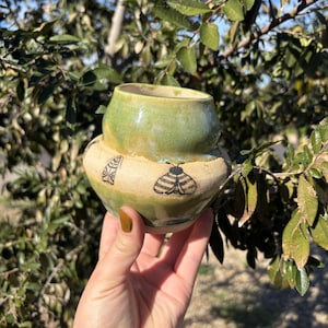 May include: A handmade ceramic vase with a light green glazed top and a beige base. The base features black insect and geometric designs. The vase is held in a hand against a backdrop of green foliage and a blue sky.