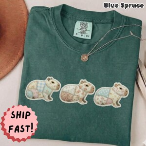 Chemise Capybara en faux patchwork Comfort Colors | T-shirt graphique doux vintage