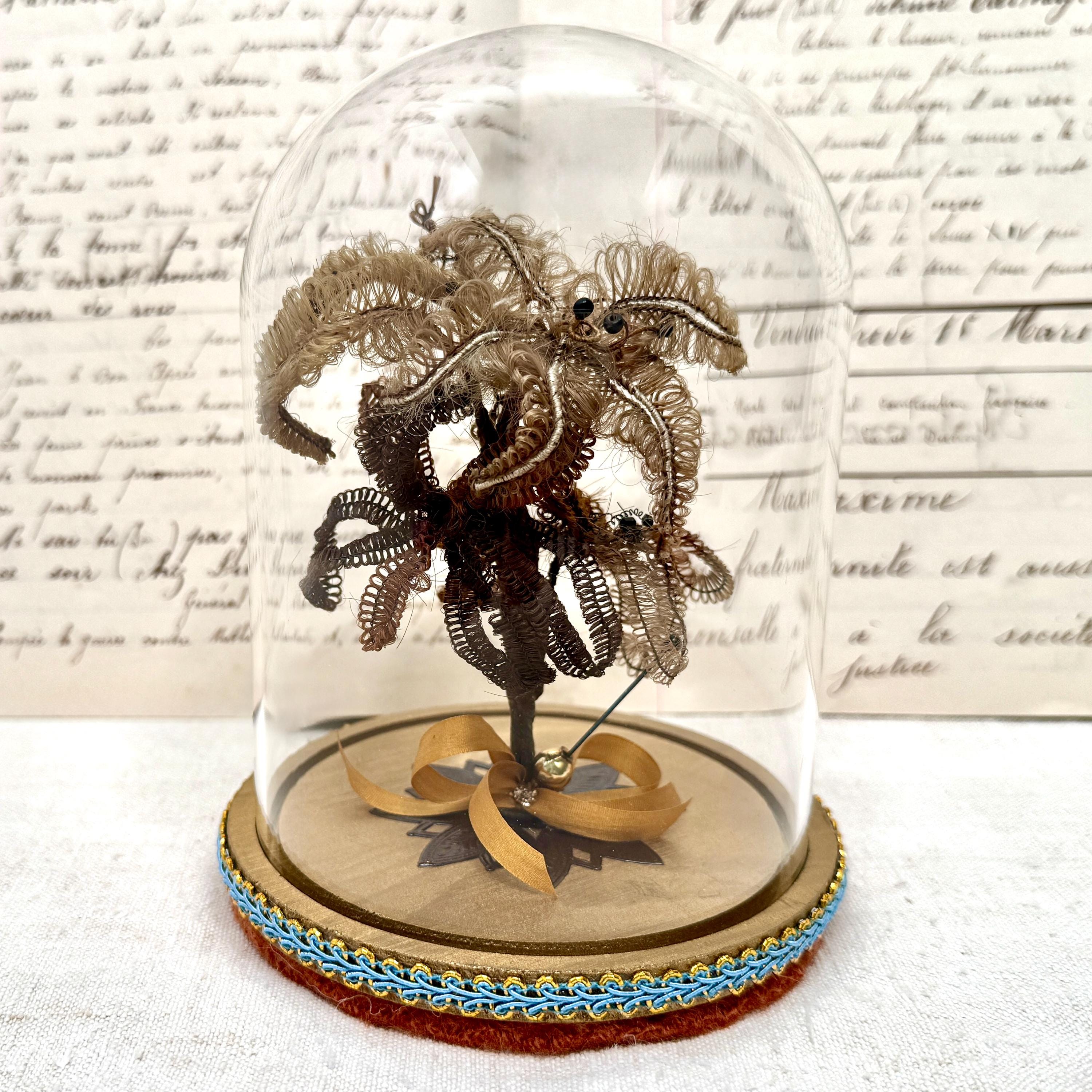 Antique 1800s Victorian Human Hair Mounted in Glass Globe