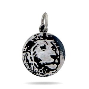 Sterling Silver Lion Head Coin Charm, (152-CH4)