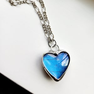 May include: A silver chain necklace with a heart-shaped pendant featuring a blue butterfly wing encased in resin.
