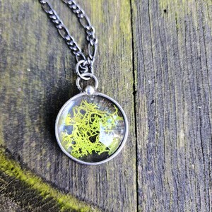 Real Moss Necklace, Natural Jewelry, Terrarium Pendant Necklace, Forest Jewelry Moss Terrarium Jewelry, Gift for Nature Lover, Gift for Her