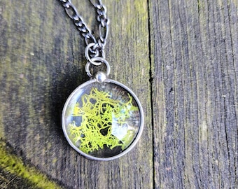 Real Moss Necklace, Natural Jewelry, Terrarium Pendant Necklace, Forest Jewelry Moss Terrarium Jewelry, Gift for Nature Lover, Gift for Her