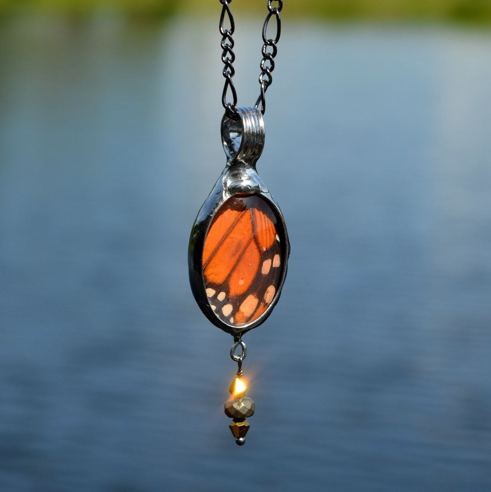 Long Butterfly Necklace Real Butterfly Wing Butterfly Etsy